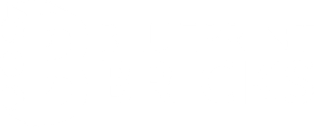 Blueprint Bricks